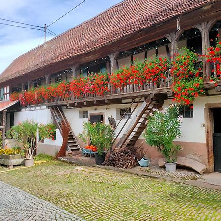 Chambres D'Hotes De Charme A La Ferme Freysz Quatzenheim 외부 사진