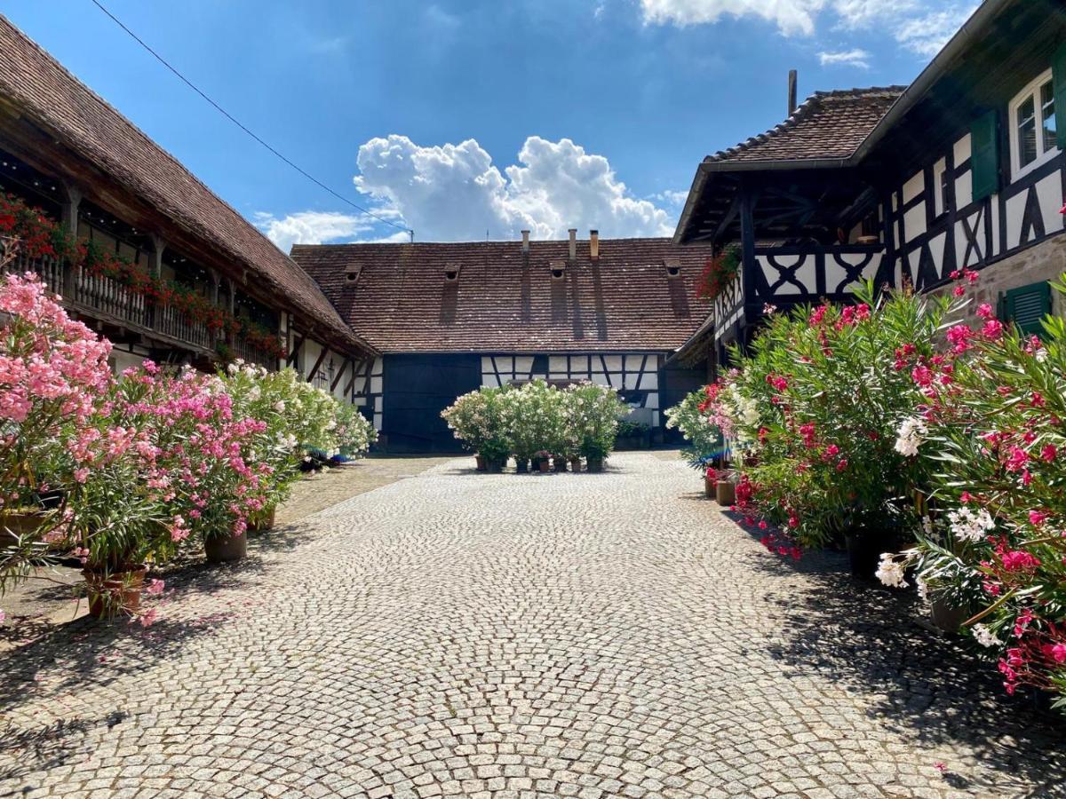 Chambres D'Hotes De Charme A La Ferme Freysz Quatzenheim 외부 사진