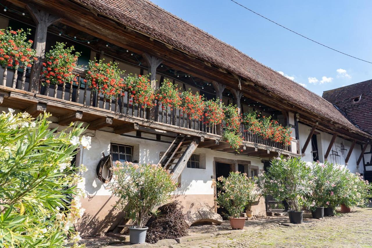 Chambres D'Hotes De Charme A La Ferme Freysz Quatzenheim 외부 사진