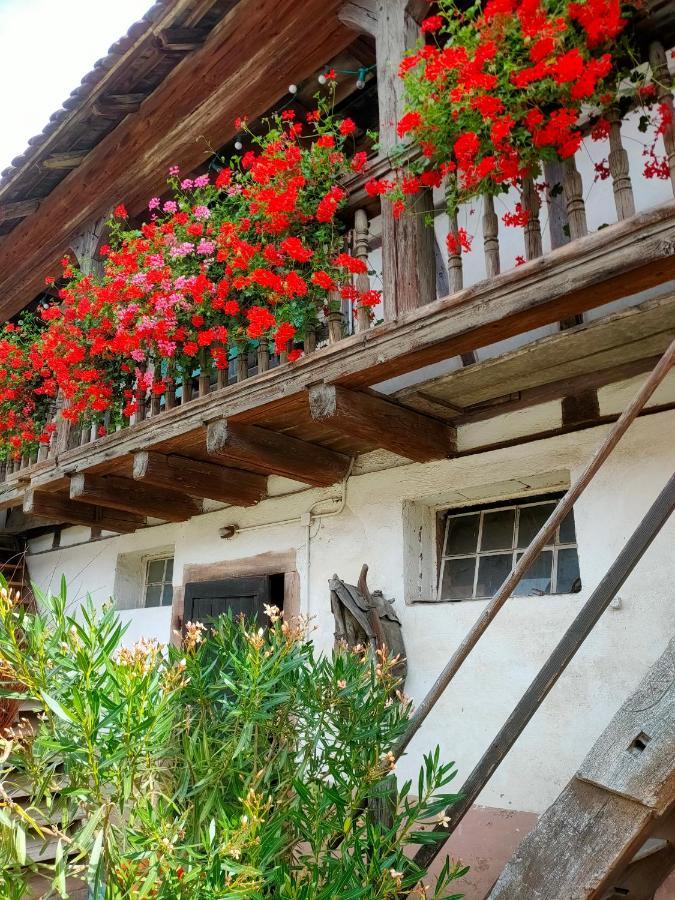 Chambres D'Hotes De Charme A La Ferme Freysz Quatzenheim 외부 사진